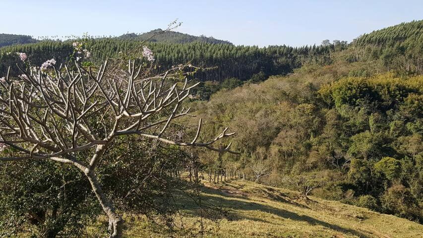 Sitio Alvorada - Paraiso Localizado No Circuito Das Aguas Paulista 圣保罗 外观 照片